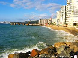 Excursión de un día a Viña del Mar